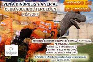 CARTEL DINOPOLIS VOLEIBOL 2019