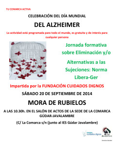 CARTEL NORMA LIBERA-GER