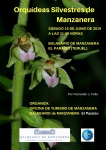 ORQUIDEAS BALNEARIO 2019