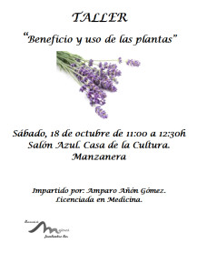 Taller plantas jpeg