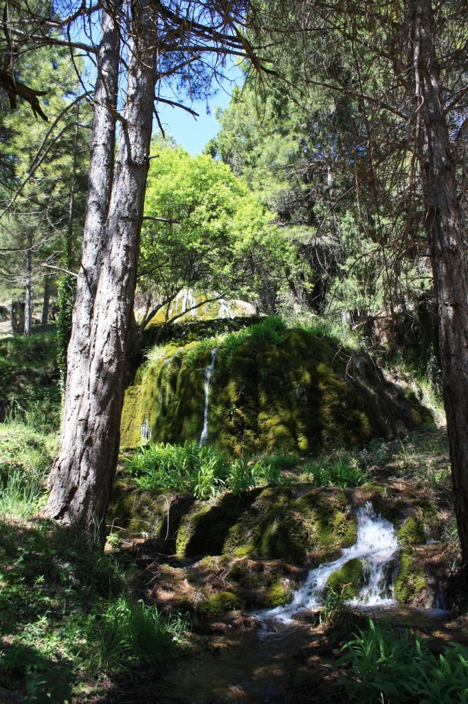 Cascada Tejeda